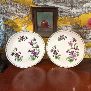 Pair violet floral hand-painted vintage plates, Tuscan, UK “Woodland” bone china